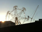 Southern Star