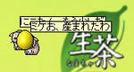 2008131-2.jpg
