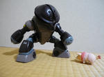 P1000237.JPG