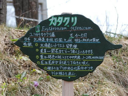 名札