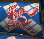 c83d8105.jpg