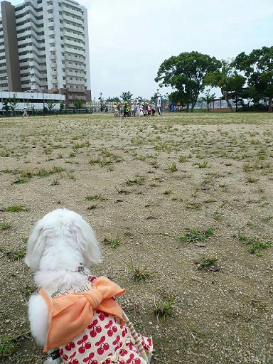 P1070313.JPG