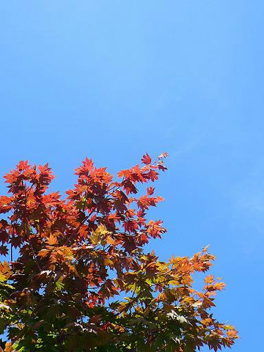P1070643.JPG