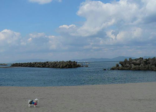 P1080083.JPG