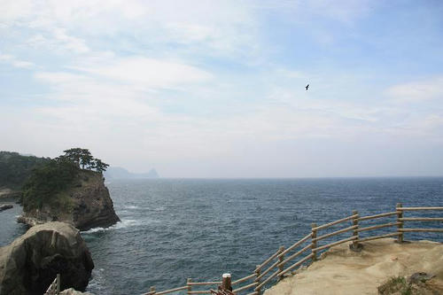 IMG_4878.JPG