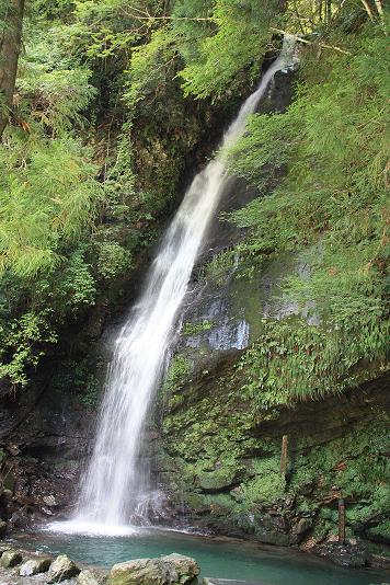 IMG_5745.JPG