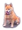 f689a469.gif