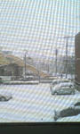 20080203083630.jpg