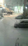 20080209yuki.jpg