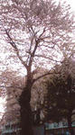 20080327172240.jpg