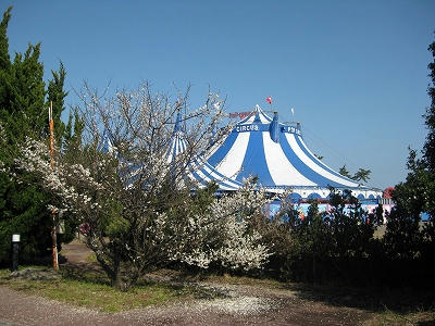 IMG_1467.jpg