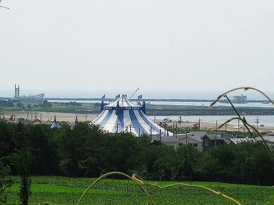 IMG_2782.jpg