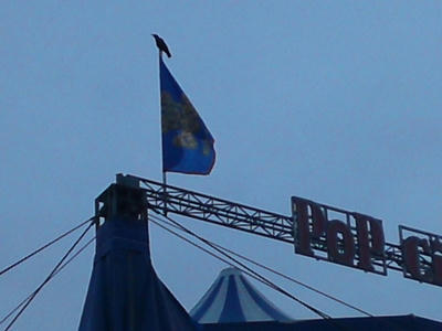 a794b091.jpg