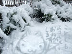 081231-1.jpg