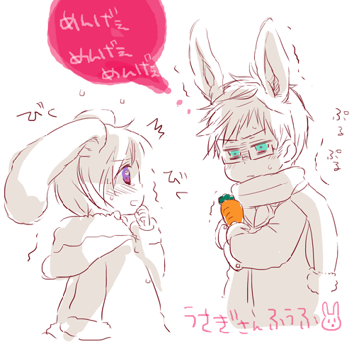 20100119_02.gif