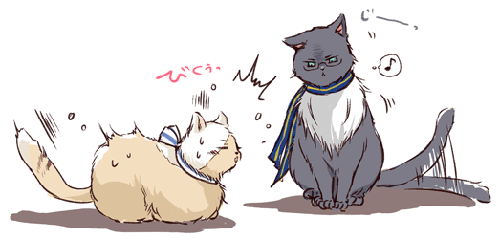 20101016.gif