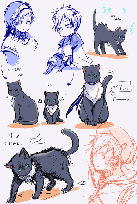 20110428_02.gif