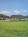田園風景
