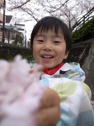 120411-01.jpg