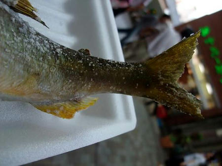アユの塩焼き