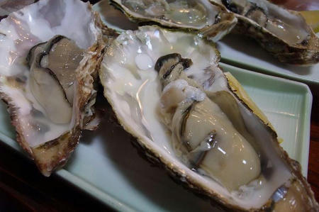 樹（たちき）　生牡蠣