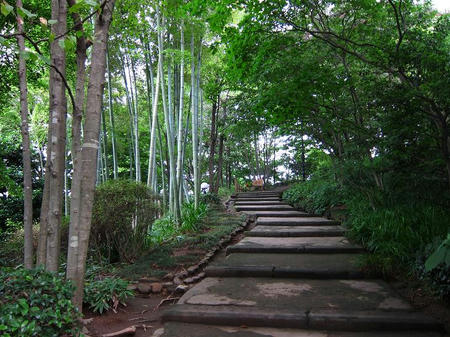 茶寮 いま泉