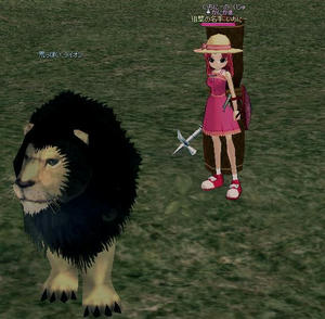 lion.JPG