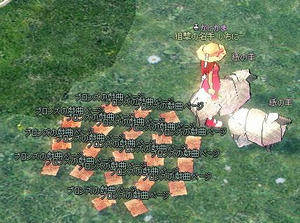 huge1.JPG