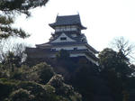 DSC02233.JPG