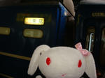 DSC02203.JPG