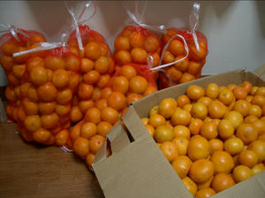 mikan.jpg