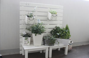 GARDEN03.jpg