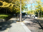19f73ea1.jpg
