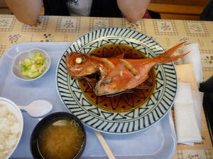 P1000269.jpg