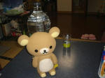DSC03333.JPG