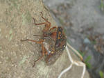 DSC03596.JPG