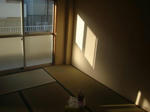 DSC04245.JPG