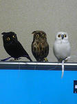 20100919_01.jpg