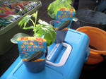 P1000019.JPG
