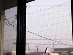 P1000020.JPG