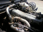 2011051811420001.JPG