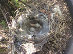 2011051811500000.JPG