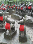P1000011.JPG