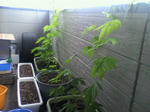P1000064.JPG