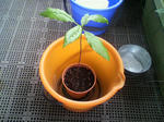 P1000065.JPG