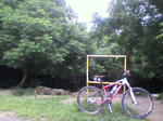 P1000083.JPG
