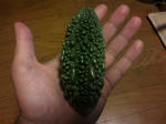 P1000089.JPG