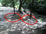 2011072914250000.JPG