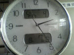 P1000095.JPG