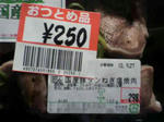 P10002910.jpg